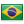 brazilian